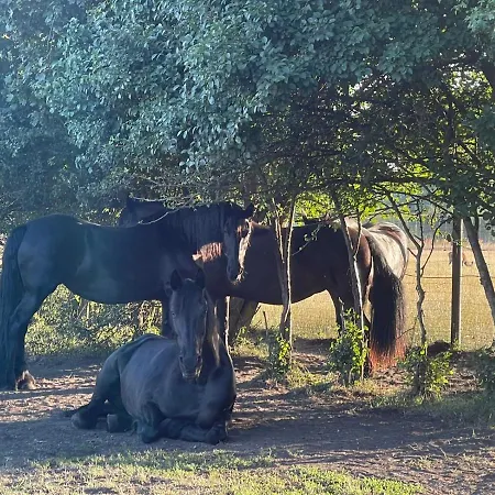 Weidmannsruh - Grosse Mit 3 Schlafzimmern 公寓 Frauendorf (Oberspreewald-Lausitz)