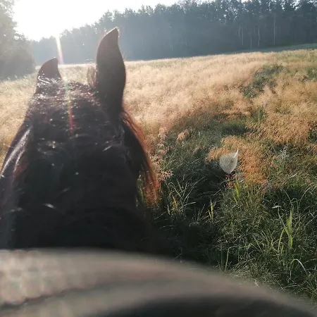 Weidmannsruh - Grosse Mit 3 Schlafzimmern Apartamento *