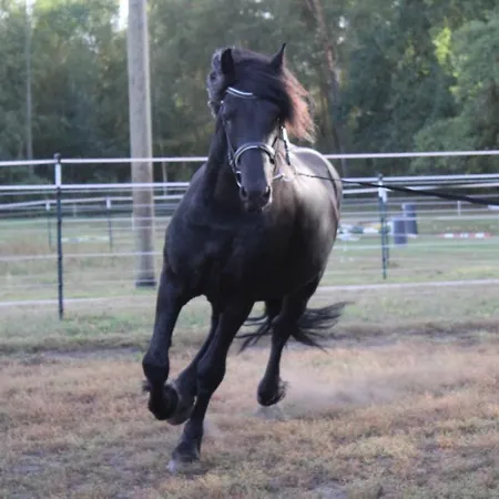 Weidmannsruh - Grosse Mit 3 Schlafzimmern 公寓