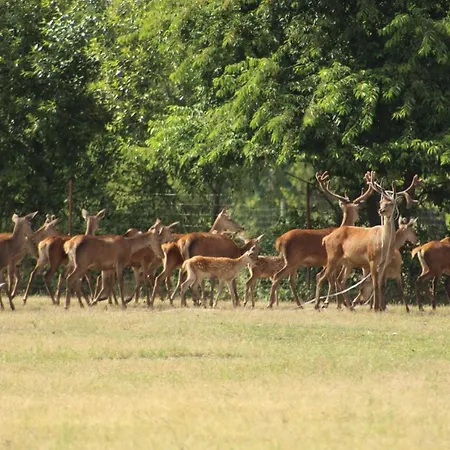 Weidmannsruh - Grosse Mit 3 Schlafzimmern