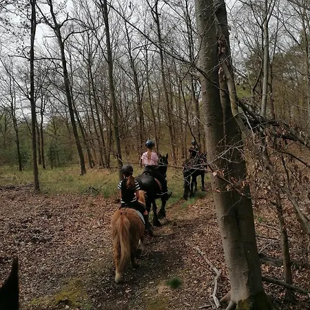 Weidmannsruh - Grosse Mit 3 Schlafzimmern