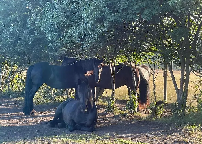 Weidmannsruh - Grosse Mit 3 Schlafzimmern 公寓 Frauendorf (Oberspreewald-Lausitz)