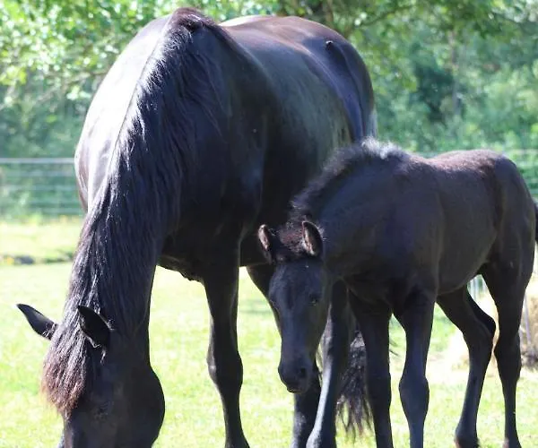 Weidmannsruh - Grosse Mit 3 Schlafzimmern * Frauendorf (Oberspreewald-Lausitz)