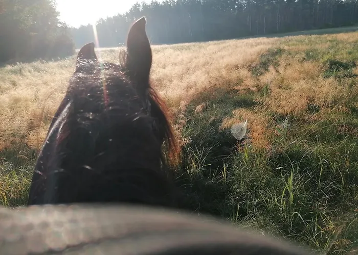 Weidmannsruh - Grosse Mit 3 Schlafzimmern 公寓 *