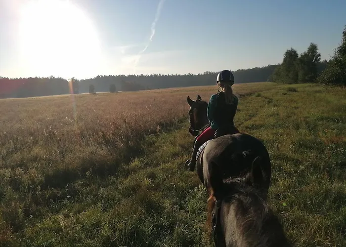 Weidmannsruh - Grosse Mit 3 Schlafzimmern 公寓 *