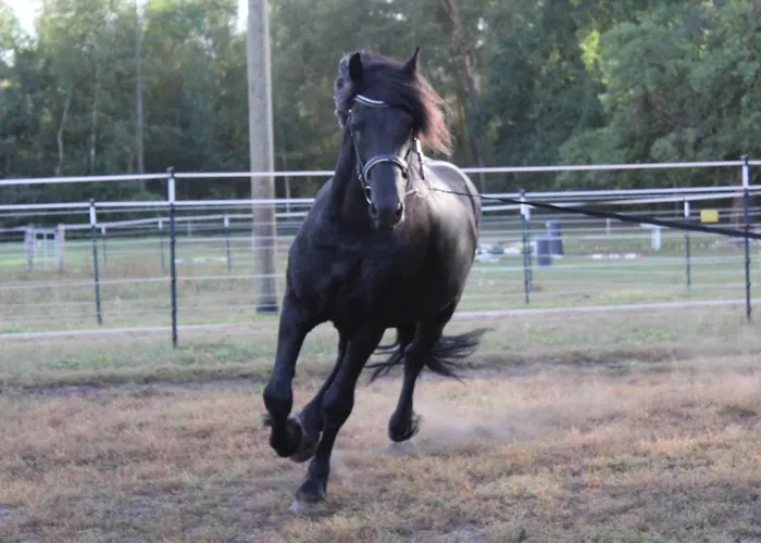 Weidmannsruh - Grosse Mit 3 Schlafzimmern Apartament