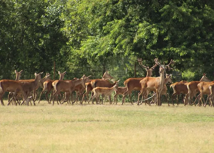 Weidmannsruh - Grosse Mit 3 Schlafzimmern