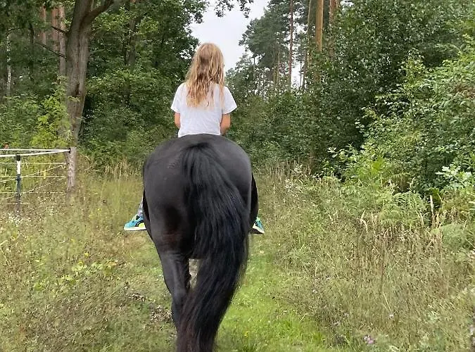 公寓 Weidmannsruh - Grosse Mit 3 Schlafzimmern *