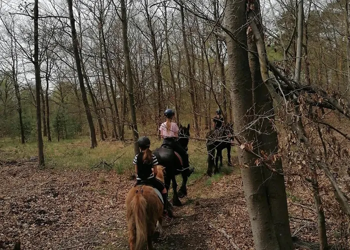 Weidmannsruh - Grosse Mit 3 Schlafzimmern